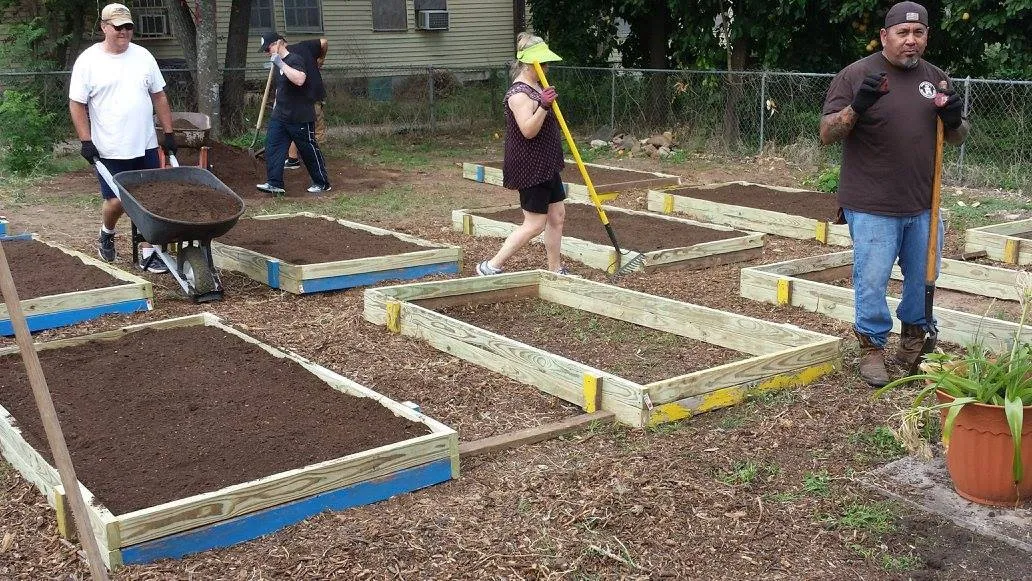 Volunteers with shovels and a wheelbarrow fill new raised garden beds